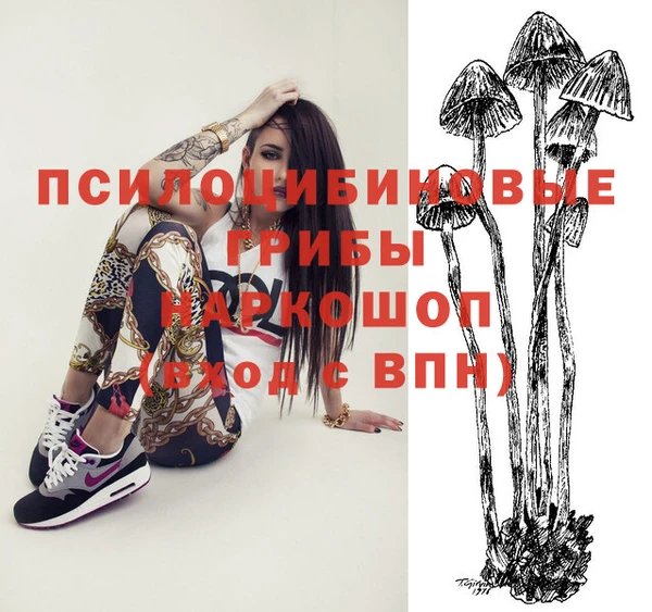 спайс Алексин