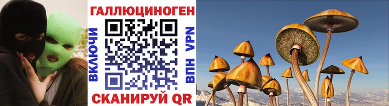 Галлюциногенные грибы Psilocybine cubensis купить сайты Хвалынск