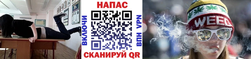 Бошки Шишки план  Хвалынск 
